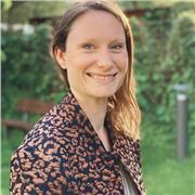 Professeur de hatha et vinyasa yoga